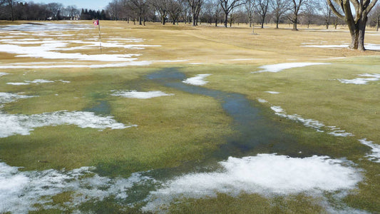 The Wait is Almost Over: Golf Season is Just Around the Corner! - East/18