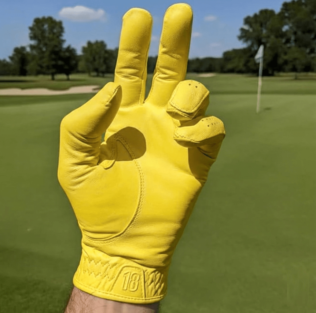 Men's Premium Leather Golf Glove - East/18Gloves