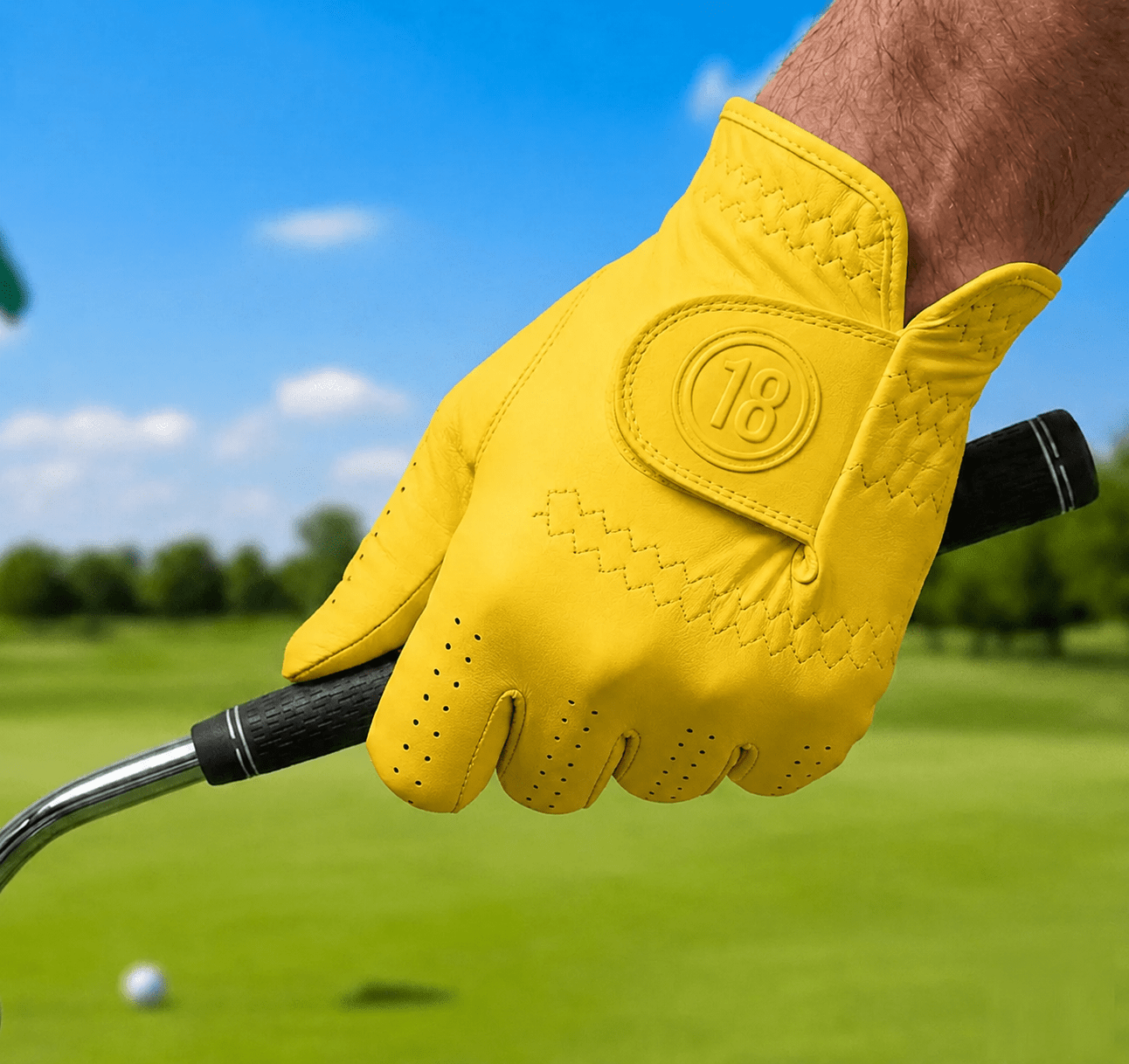 Men's Premium Leather Golf Glove - East/18Gloves